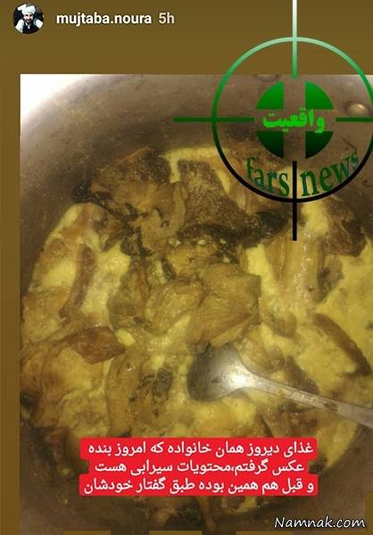 خوردن گوشت گربه گوشت گربه