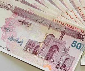 حقوق کارکنان دولت