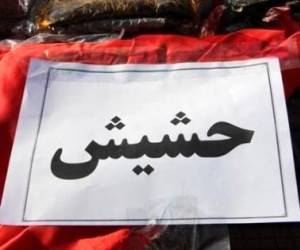 کشف حشیش