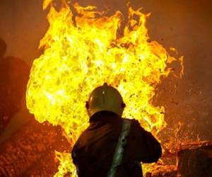 پردیس سینمایی زندگی