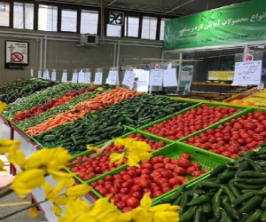 میادین میوه و تره