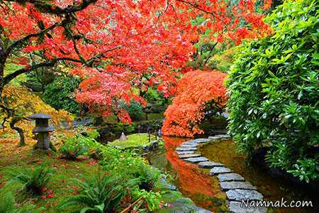 باغ باغ بوچارت