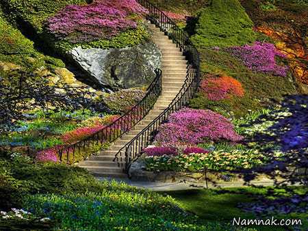 بزرگترین باغ باغ بوچارت