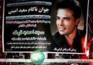 سعید امینی