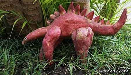 جالبترین عکسها از میوه هایی شبیه حیوان