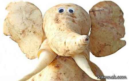 جالبترین عکسها از میوه هایی شبیه حیوان