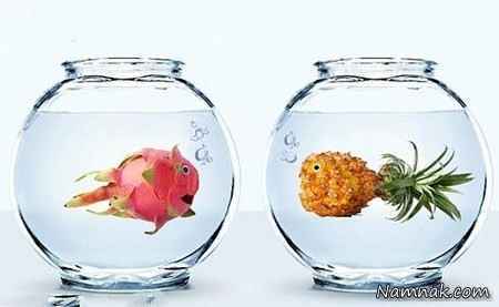 جالبترین عکسها از میوه هایی شبیه حیوان