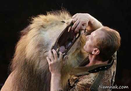 شجاع ترین سیرک باز دنیا + عکس