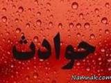 نوزاد