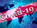کرونا ویروس