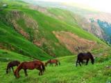روستای سوباتان