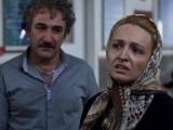 گلاره عباسی و هدایت هاشمی