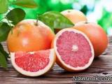 فصل پاییز