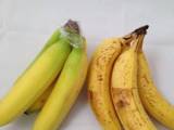 نگهداری موز