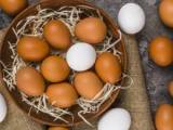خواص تخم مرغ