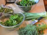 سبزی قورمه سبزی