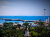 کیش