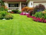 باغچه ای زیبا