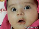 دوقلوها