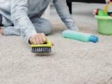 برداشتن مو از فرش