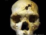 جمجمه هابیل کشف شد
