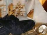 سالم ماندن جسد