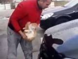 کار جنجالی با گربه