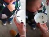 قورباغه خوردن
