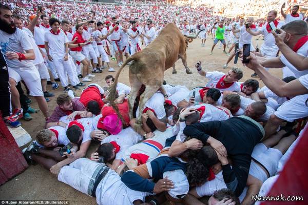 فیلم گاو بازی وحشتناک