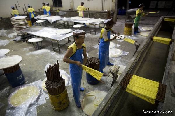 روش تولید مرحله ای رشته فرنگی + تصاویر رشته فرنگی