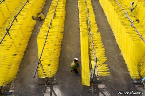 روش تولید مرحله ای رشته فرنگی + تصاویر رشته فرنگی