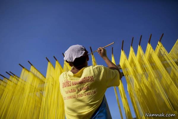 روش تولید مرحله ای رشته فرنگی + تصاویر رشته فرنگی