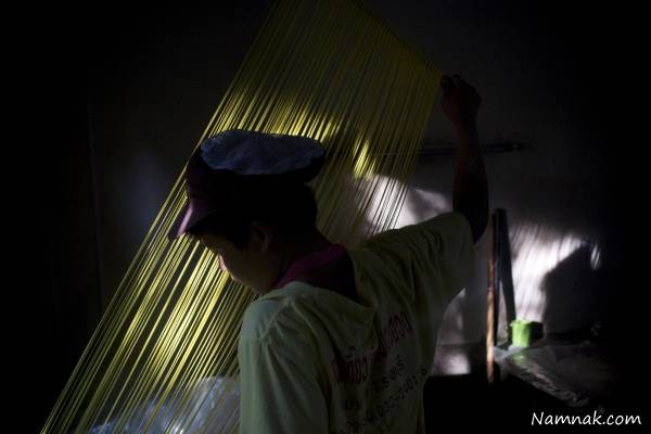 روش تولید مرحله ای رشته فرنگی + تصاویر رشته فرنگی