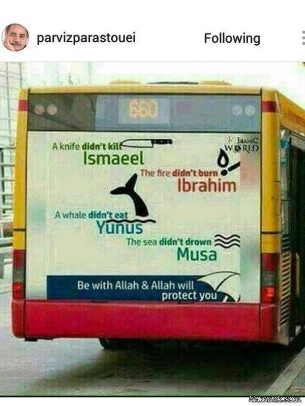 بازیگران مشهور ایرانی در شبکه های اجتماعی 267 + تصاویر بازیگران مشهور ایرانی