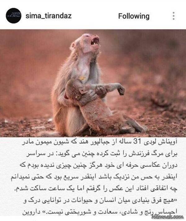 بازیگران مشهور ایرانی