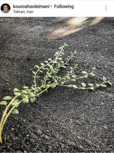  بازی ایران پرتغال 