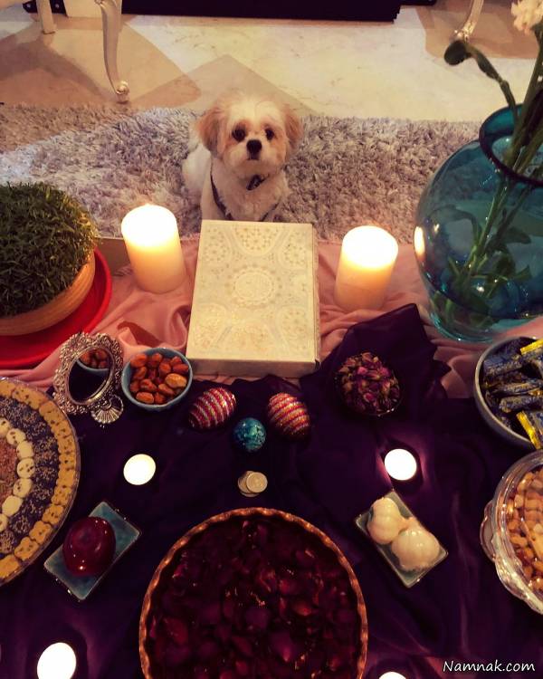 عکسی از سگ نازنین کریمی سگ نازنین کریمی