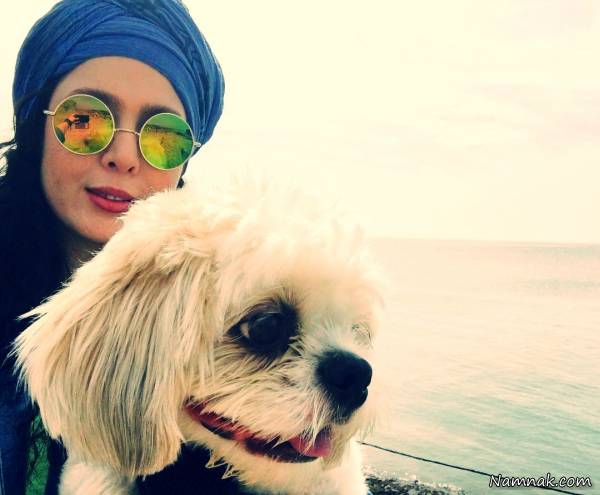 پوپو سگ محبوب نازنین کریمی سگ نازنین کریمی