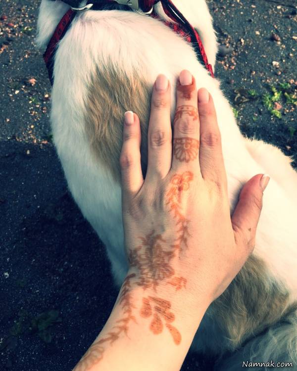 عاشقانه نازنین کریمی برای سگش سگ نازنین کریمی