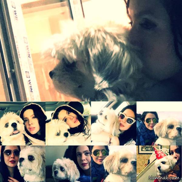 سگ محبوب نازنین کریمی سگ نازنین کریمی