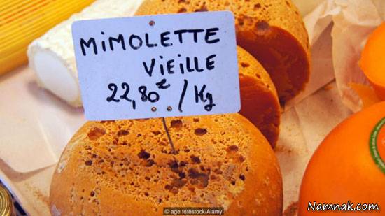 غذاهای غیر معمول