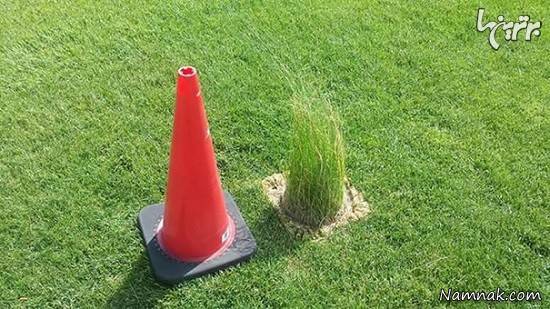 تصاویری از اشتباهات خنده دار در جهان اشتباهات خنده دار