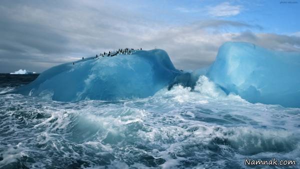 اقیانوس منجمد شمالی