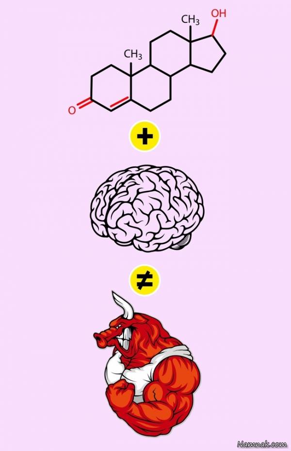 مغز زنان و مردان