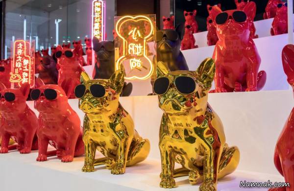 اسپیکر بول داگ