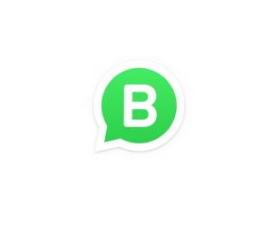دانلود برنامه واتساپ بیزینس
