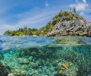 بزرگترین تپه های مرجانی