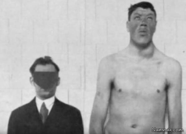 پرونده پزشکی راینر