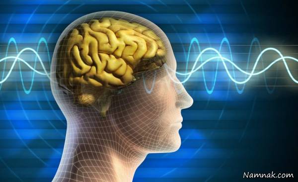 کار بدن انسان