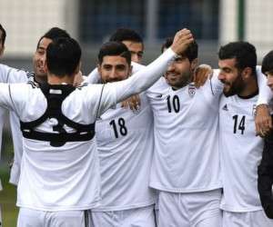 نظر گربه پیشگو